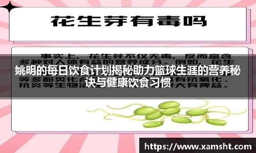 姚明的每日饮食计划揭秘助力篮球生涯的营养秘诀与健康饮食习惯